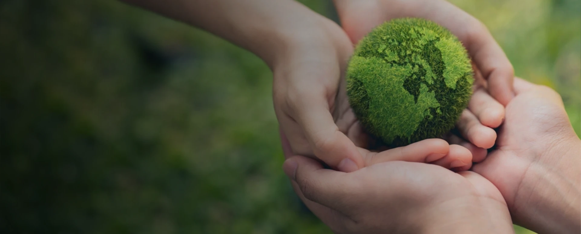 Sustainability